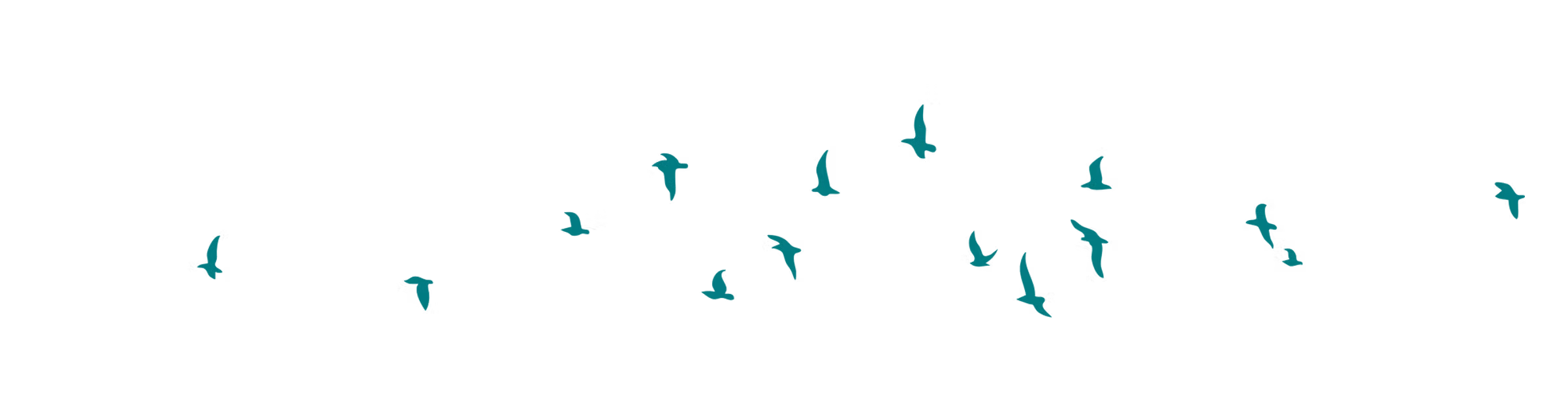 Decorative birds