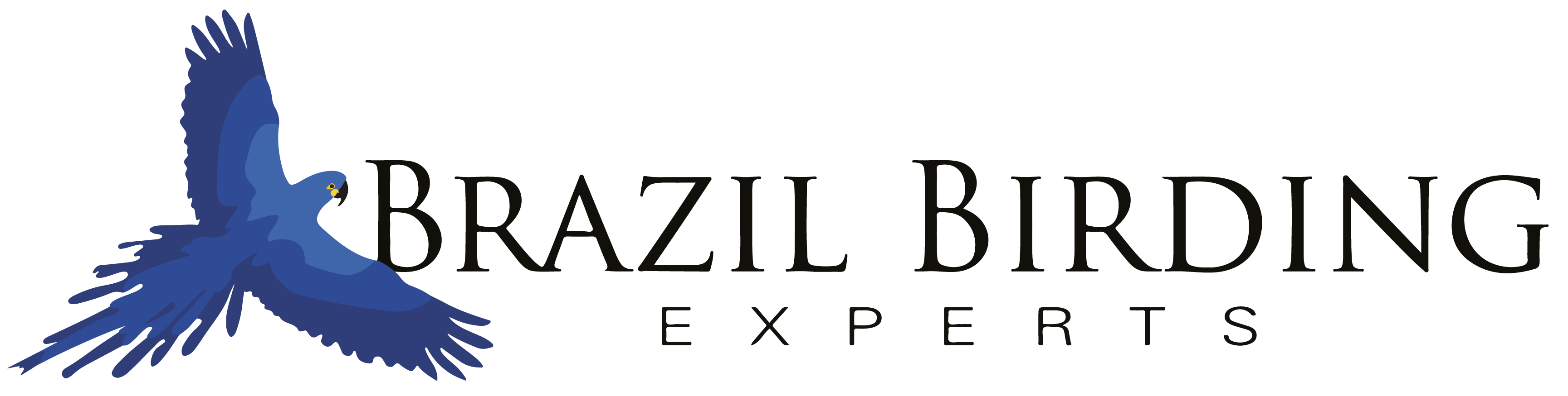 Brazil Birding Experts