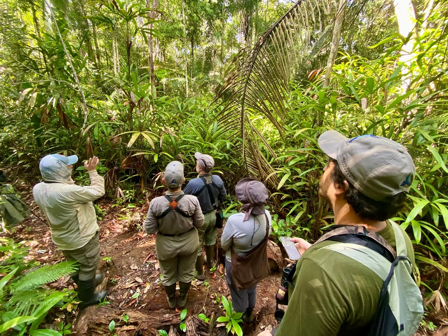 Birders in the forest