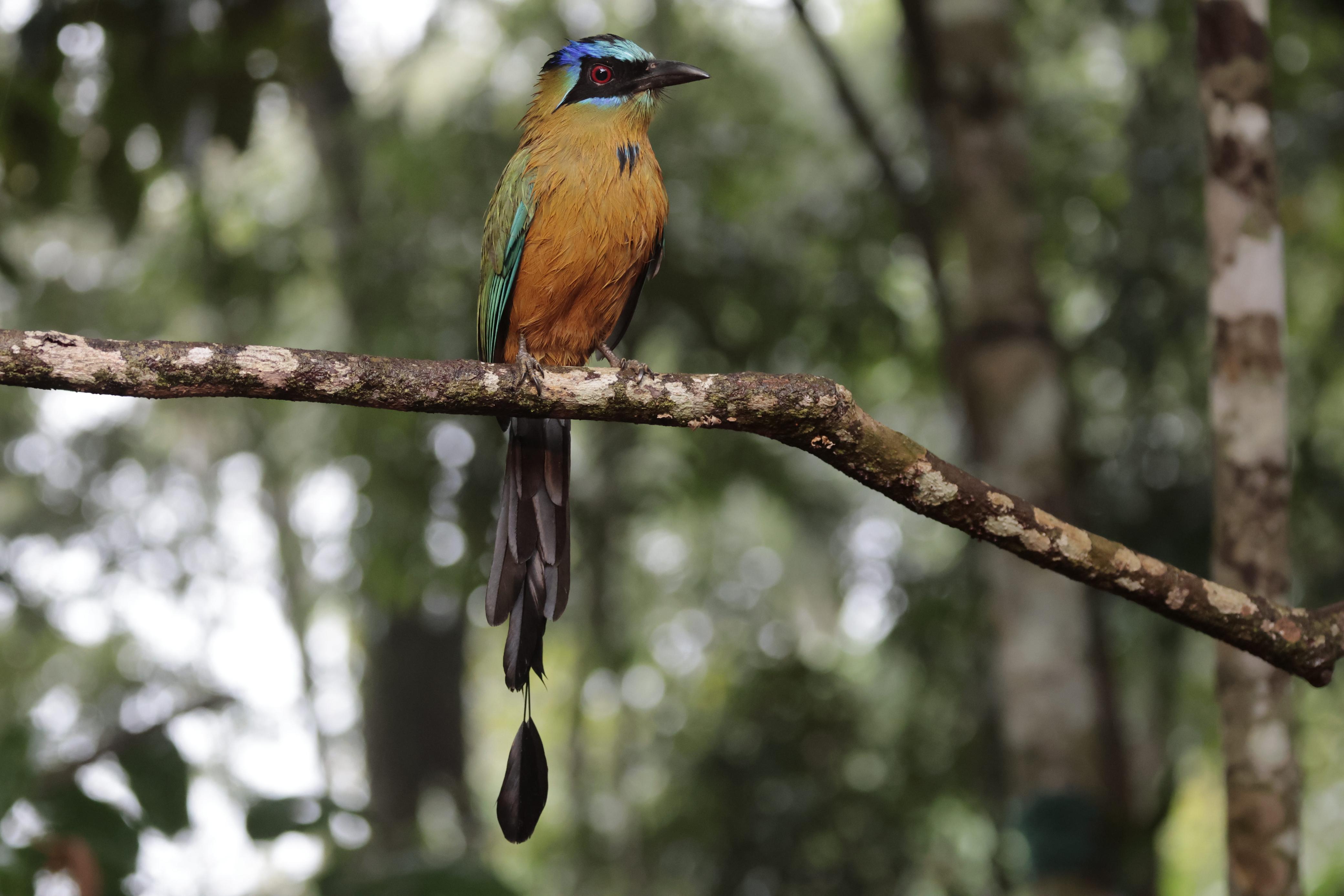 Northeast Brazil Complete Tour gallery 12