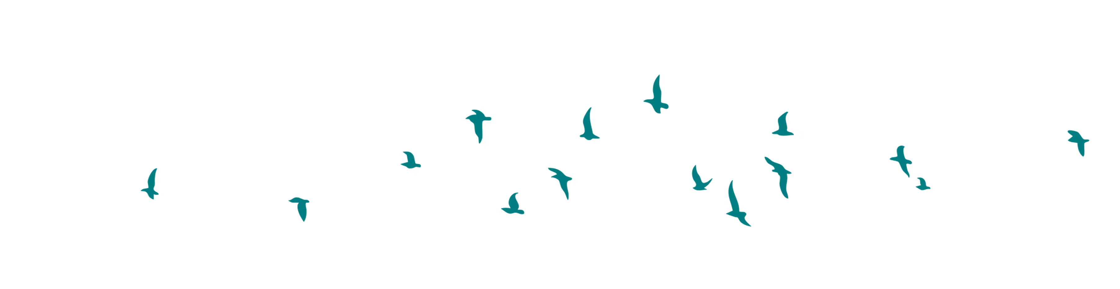Flying birds
