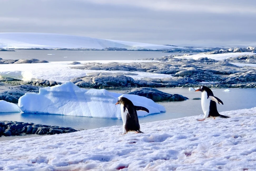 Antarctica