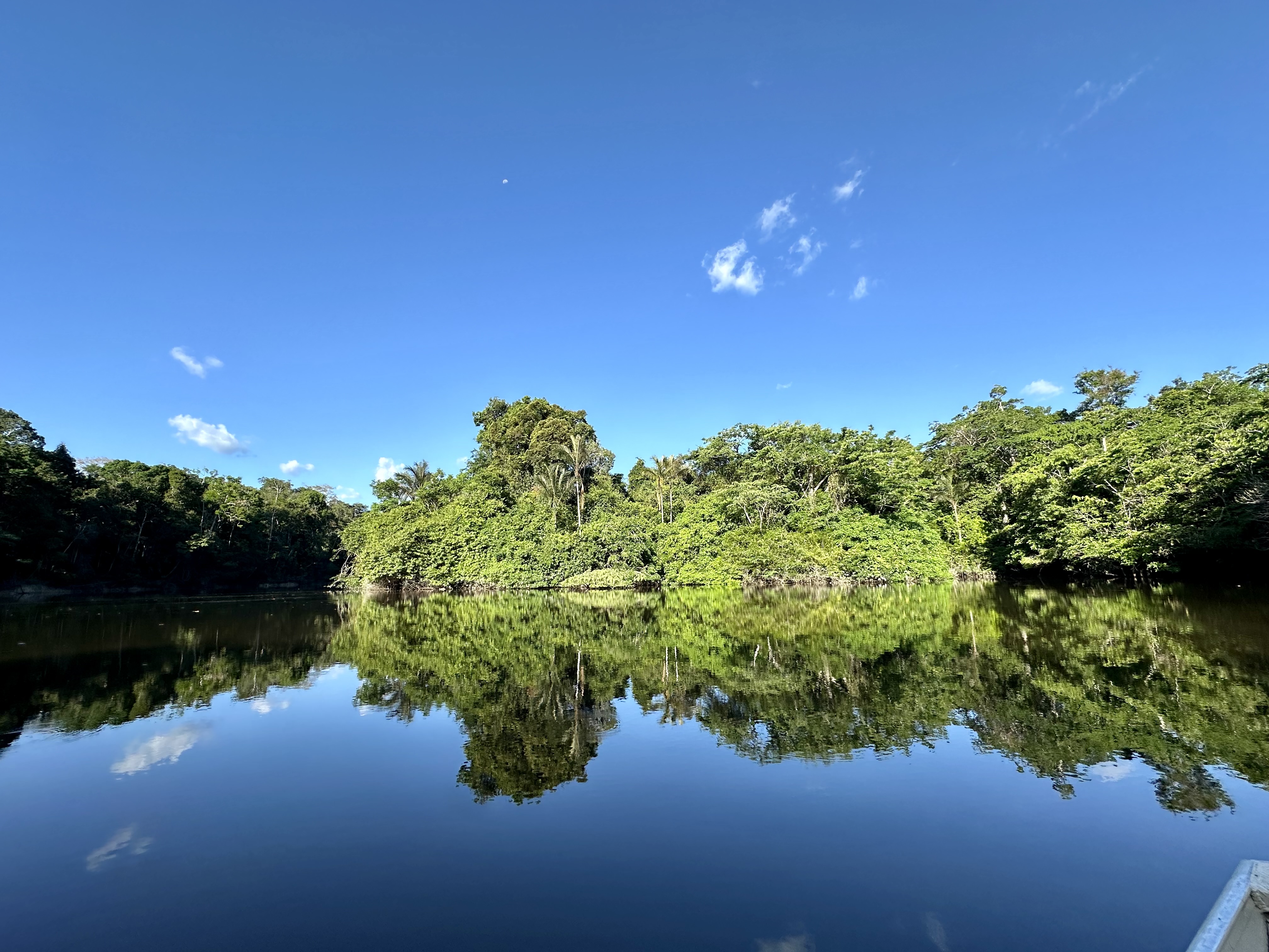 Nature photo 7
