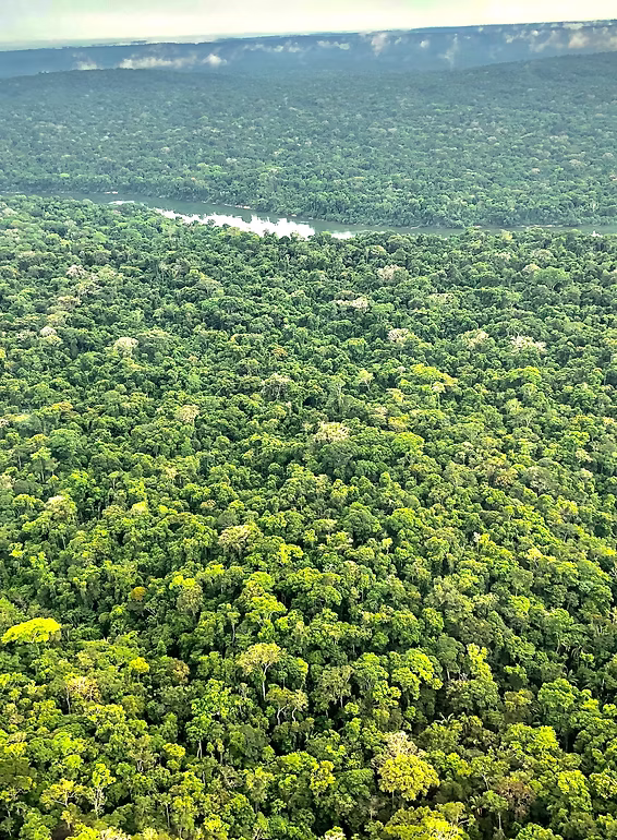 Rondônia + Acre Custom Tour